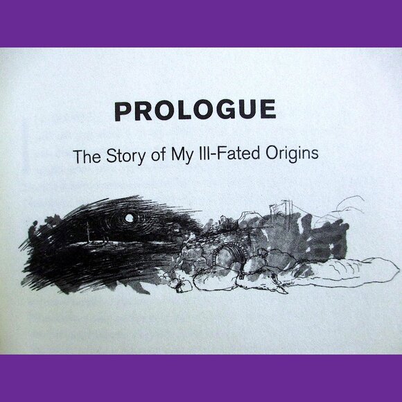 Book - Call Me Zebra: A Novel, by Azareen Van der Vliet Oloomi - Picture 4 of 14